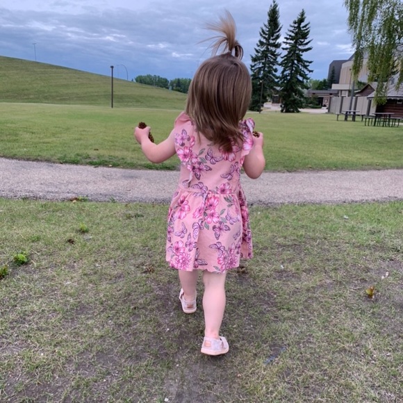 2T Pink Floral Dress - Picture 2 of 6
